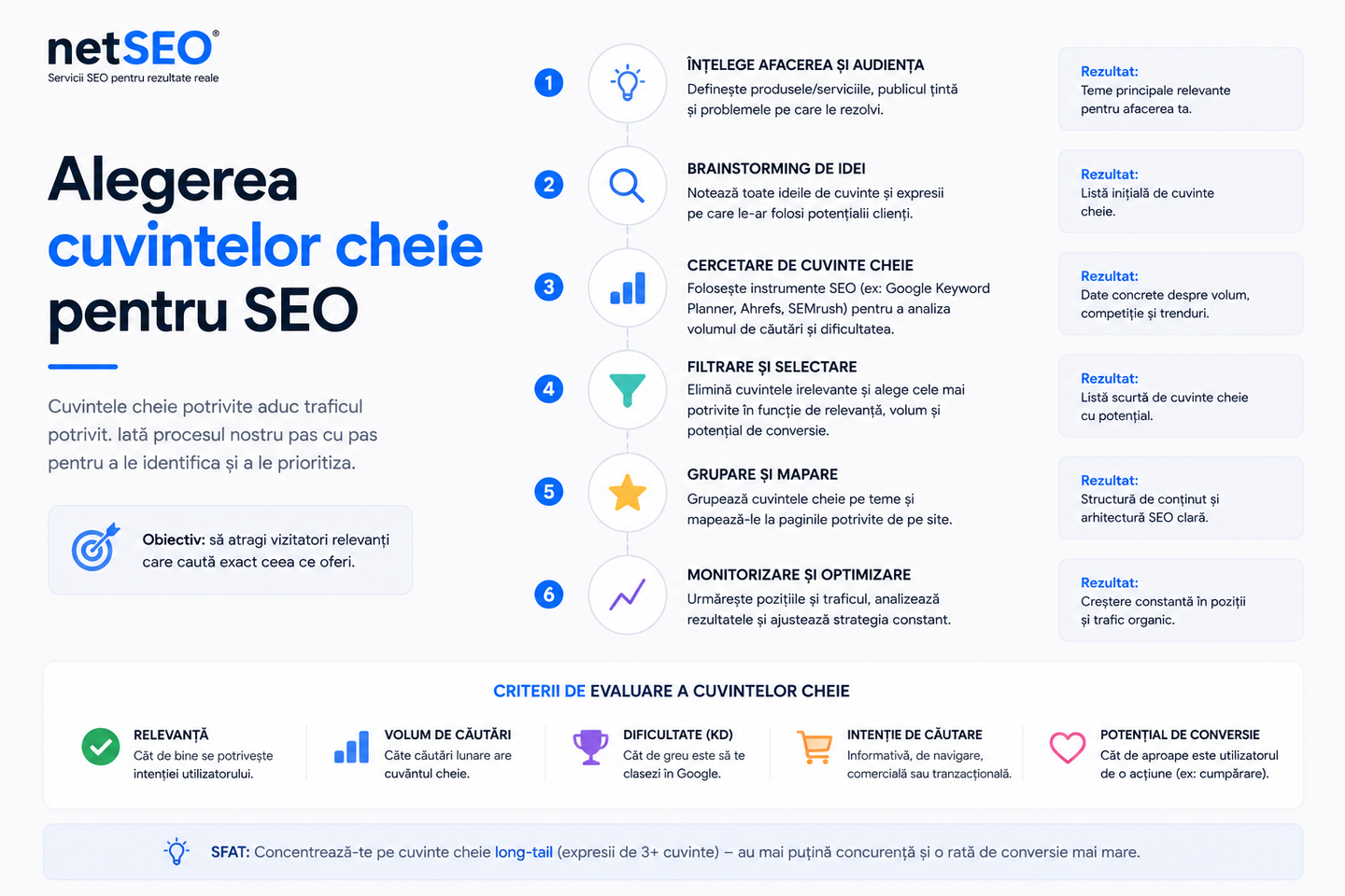 Alegere cuvinte cheie SEO | netSEO