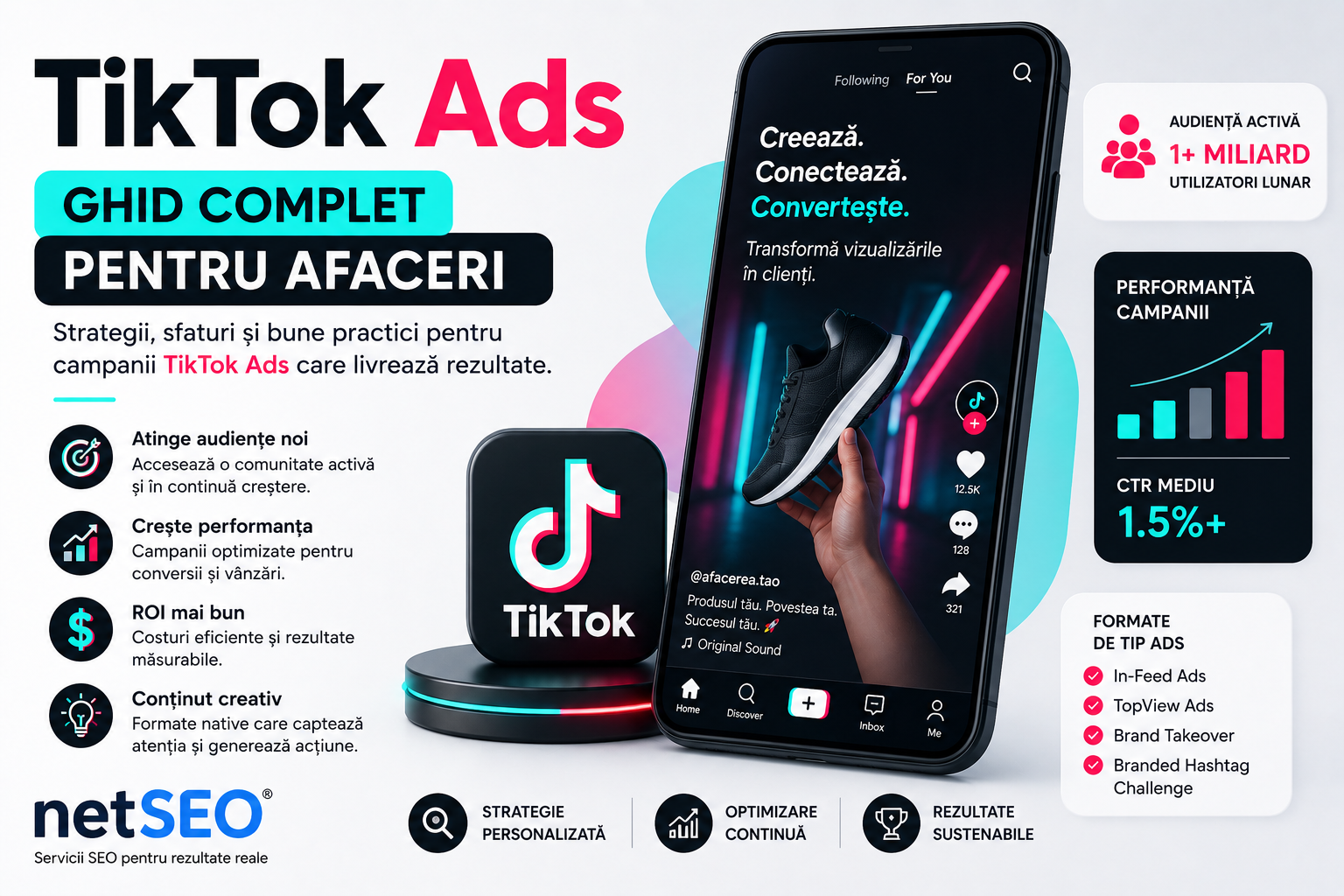 TikTok Ads pentru afaceri | Ghid netSEO România